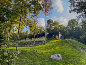Design Cozy Modern Views of Mont-Tremblant Family & Retreat Luxury